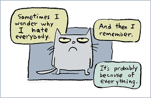 hate hate. 