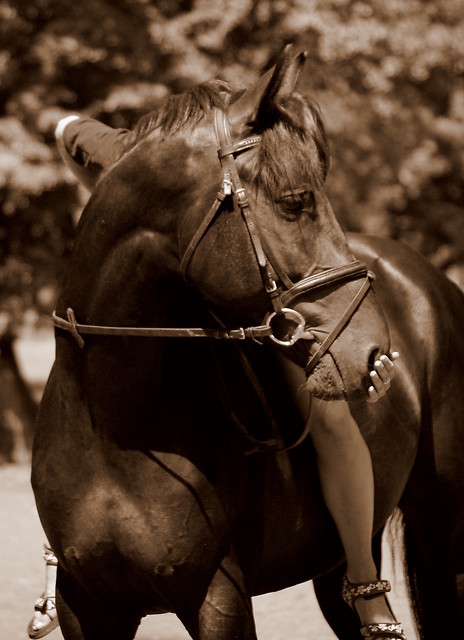 Koruchny!!!