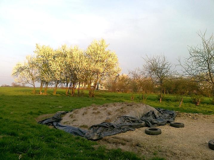 poniedziaek wielk
