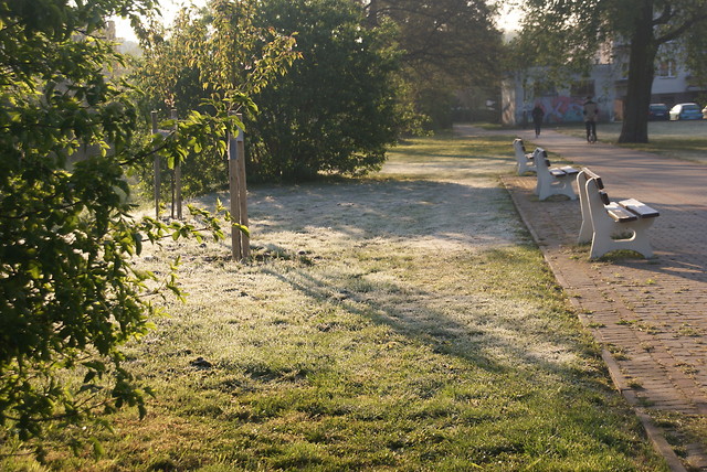 Majowe przymrozki