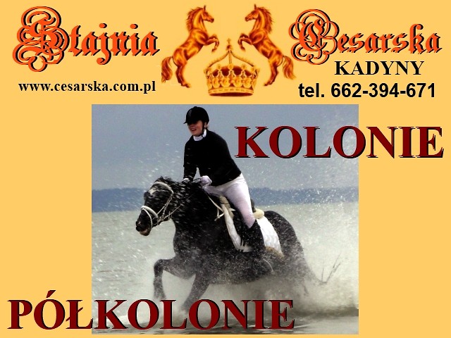 KOLONIE