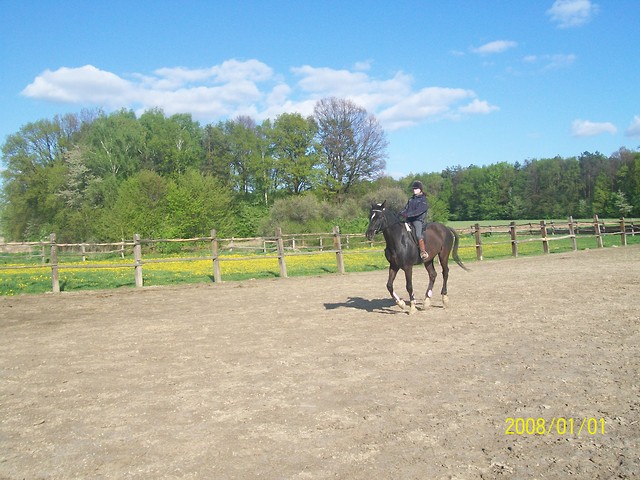 Galop :-)