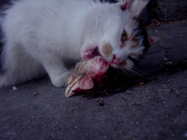 2.