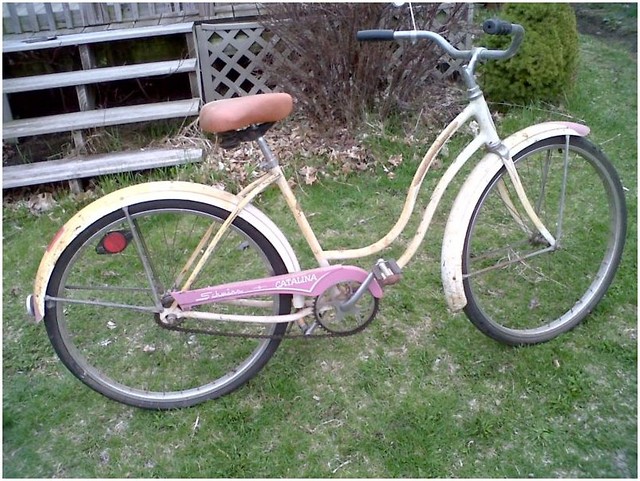 Schwinn Catalina 