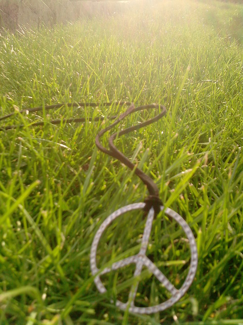 Grass.