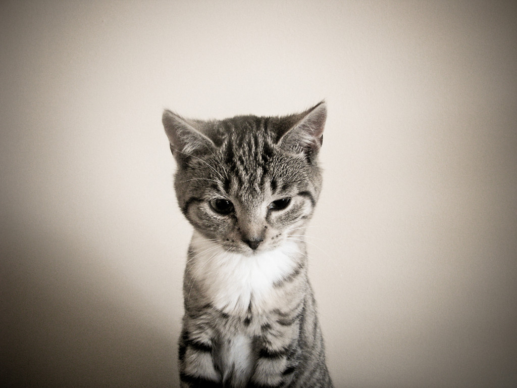 I prefer to mix her with whisky.