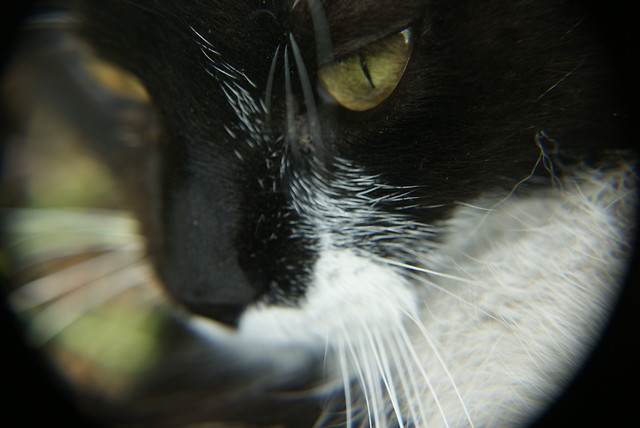 no name