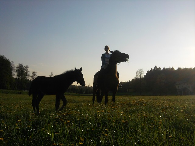Bella&Basiek