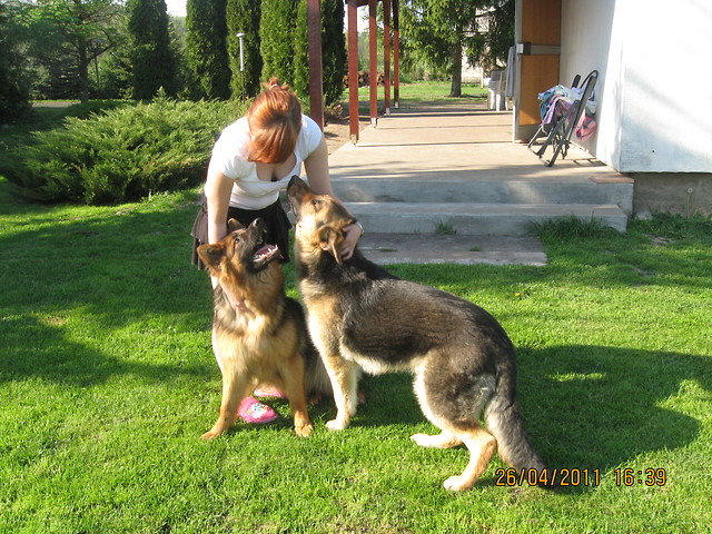 z Cobr i Ramzesem;)