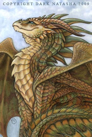 Dragon Story..