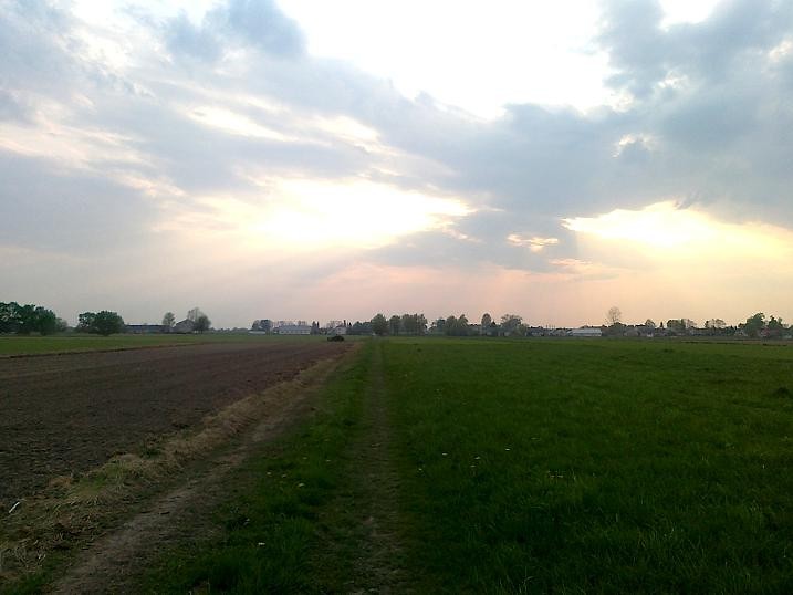 29 kwiet