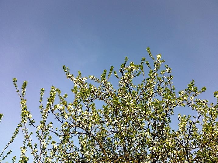 30.04 (langroda)