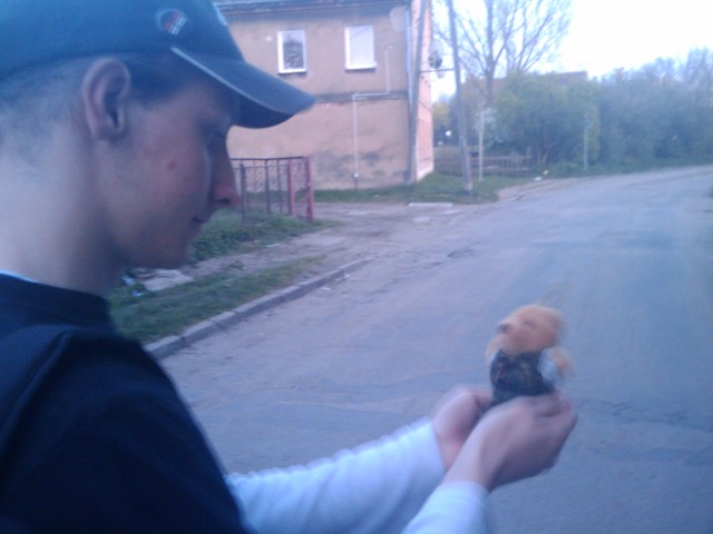 Pomidor :3