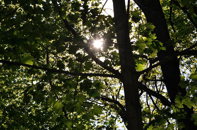 sun shine