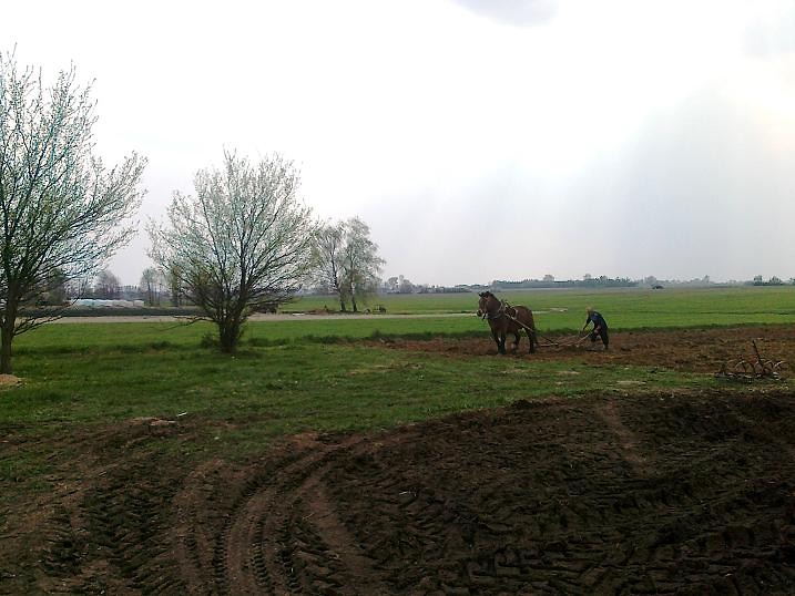 wycieczkakoszmar