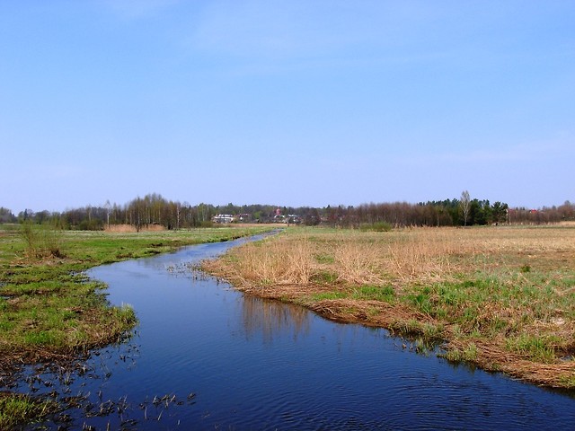 Rzeka Narewka, Biaowiea