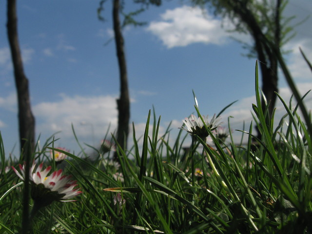 2may