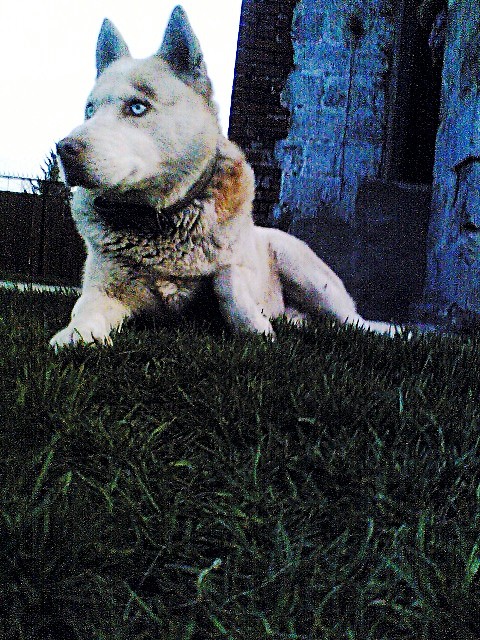 Maaax. < 3