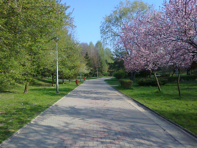Pikna codzienno