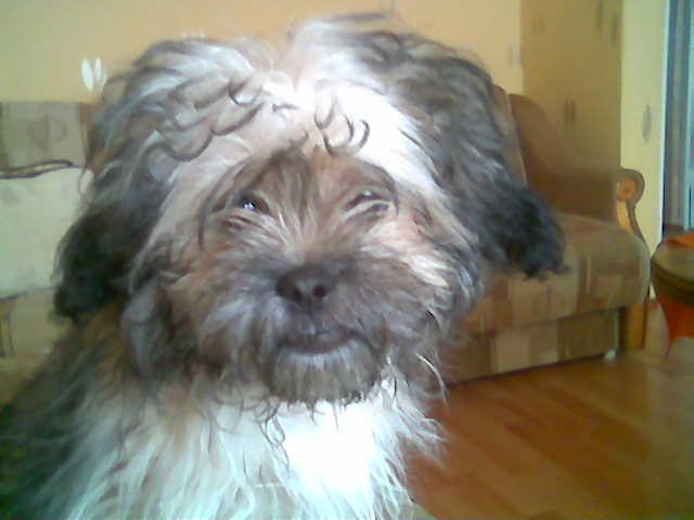 Yoko;*******