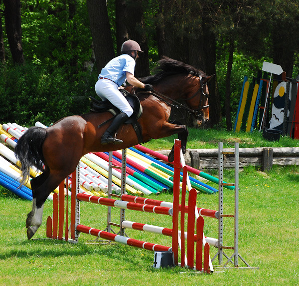 Odznaki - 14.05.2011