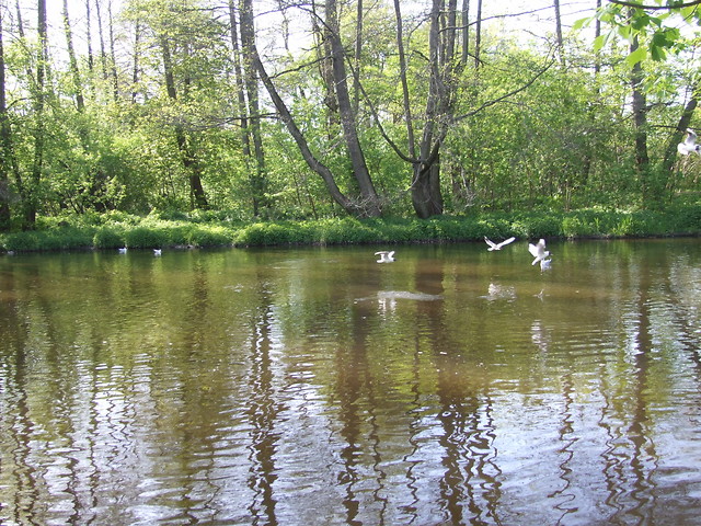 Konstancin