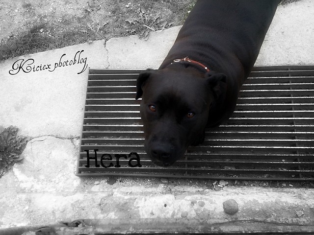 Herciak :*:)