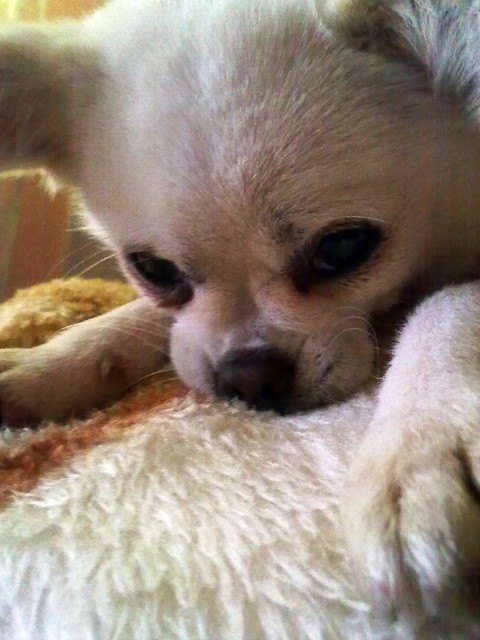 Amy. < 3
