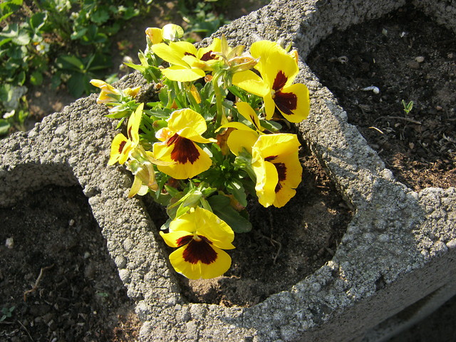 9 .