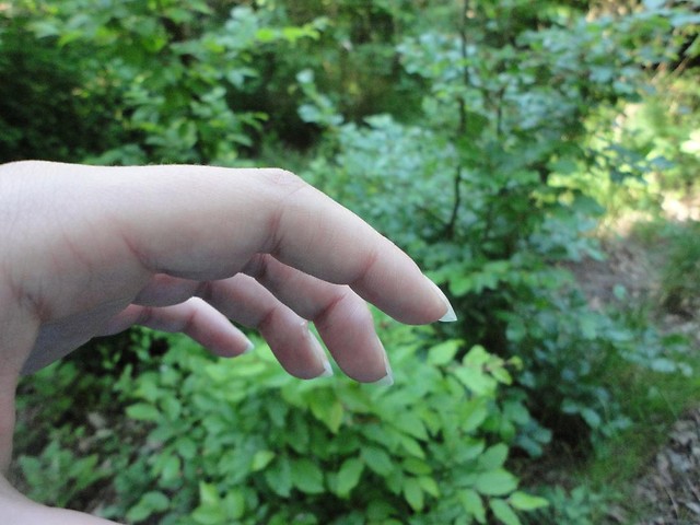 245.