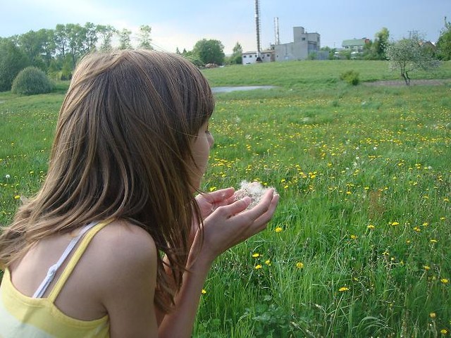 Optymistycznie . < 3
