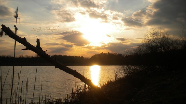 Psarskie...