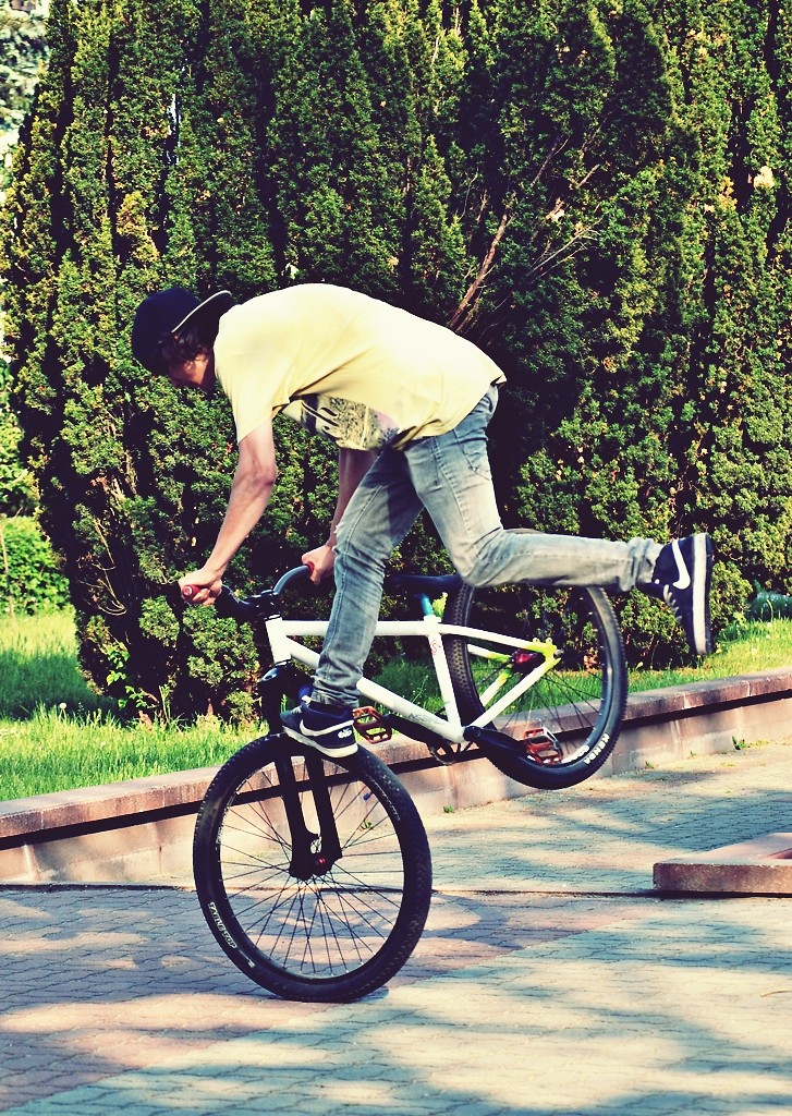 Dony