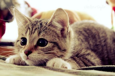 Kocham < 3 .
