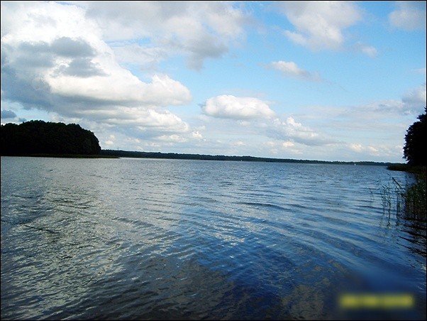 Wyjanione. 