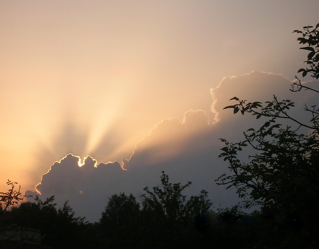 Cloud's № 1 '07