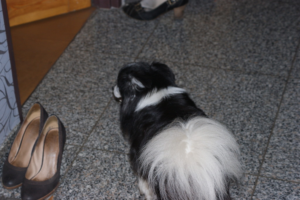 Stefek. :) 