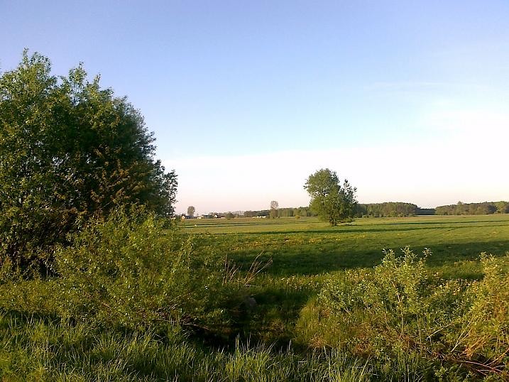 9 maj