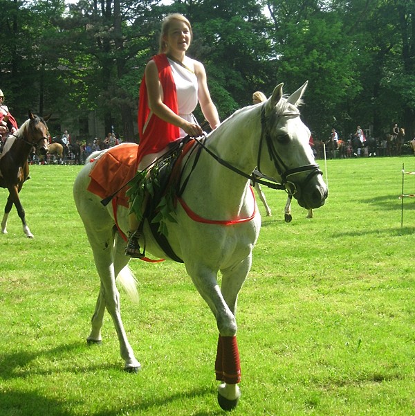 Majwka 2011
