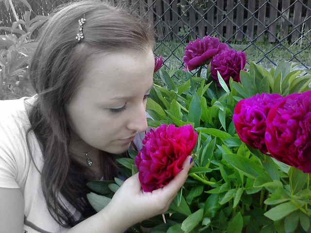 flowers.