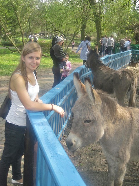 zoo