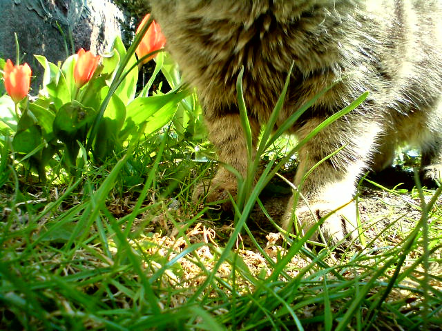 Takie przypadkowe ^^