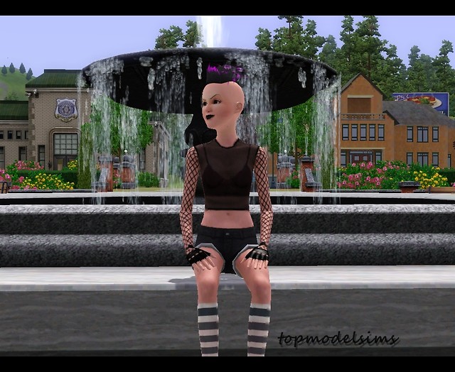 topmodelsims