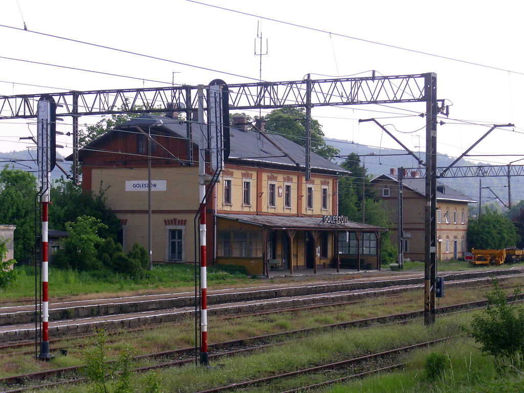 goleszw