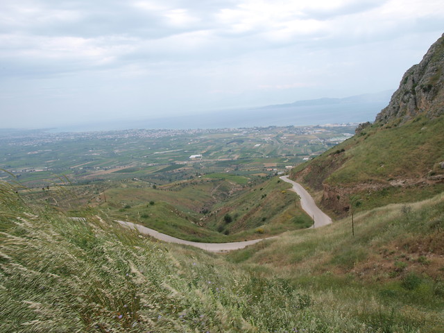 Akorynt