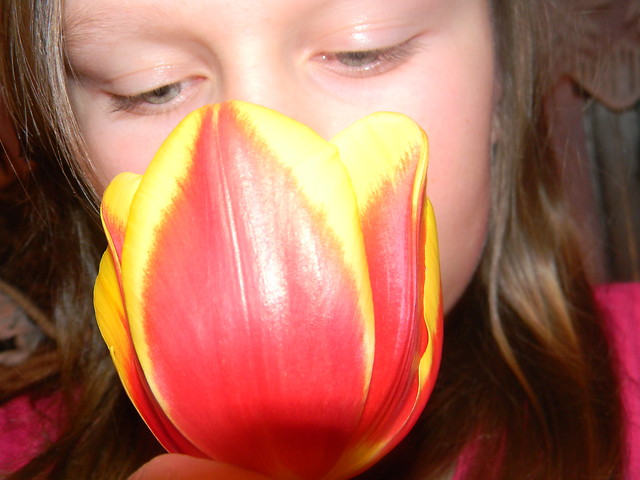 z tulipanem ;D
