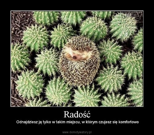 radocha.