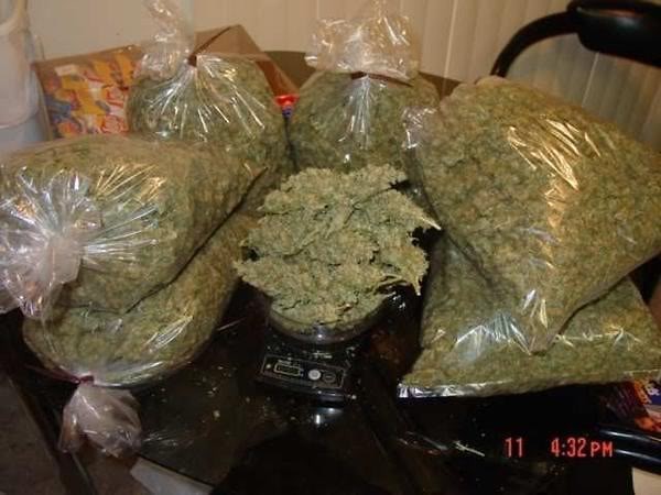 weed