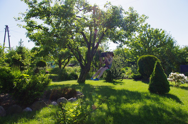 dziaka . 