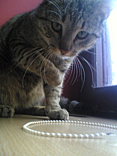 Lukaaa. ; * 
